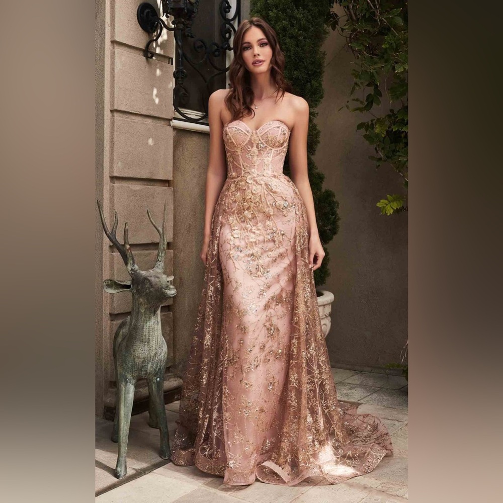 Rose Gold Evening Gown | Cinderella Divine | Size 4 | Brand New!